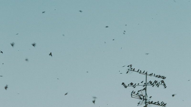 Conexión áreas rurales